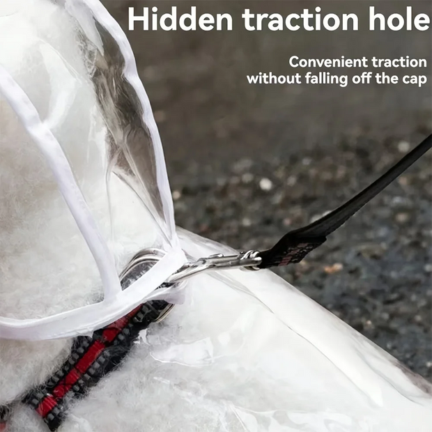 Transparent Waterproof Dog Raincoat with a hidden traction hole, showing convenient traction without falling off the cap.