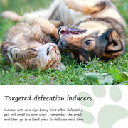 Dog and cat lying on grass with text about Yegibong Pet Potty Training Spray 30ml targeted defecation inducers.