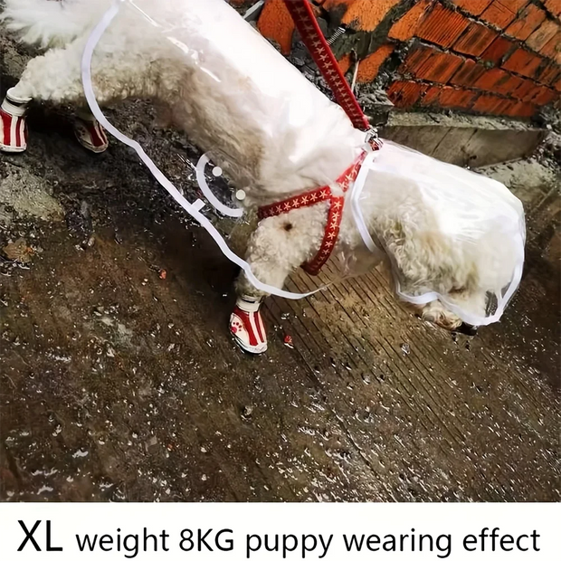 Puppy wearing a red Transparent Waterproof Dog Raincoat  on a wet pavement.