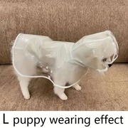 Small dog wearing a Transparent Waterproof Dog Raincoat on a brown carpet