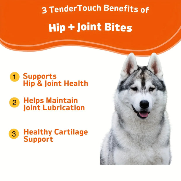 Dog with supplement image: pet owner giving Dog Hip and Joint Supplement Glucosamine + Chondroitin for healthy joints