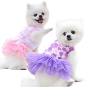 Two small white dogs wearing Adorable Floral Dog Dress, one pink and one purple, on a white background.