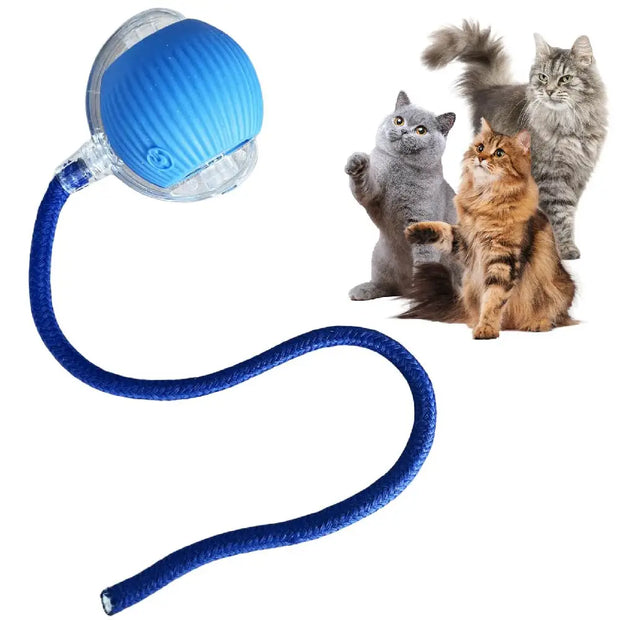 Blue Automatic Moving with LED Light Cat Toy Ball with a long flexible hose and three cats on a white background