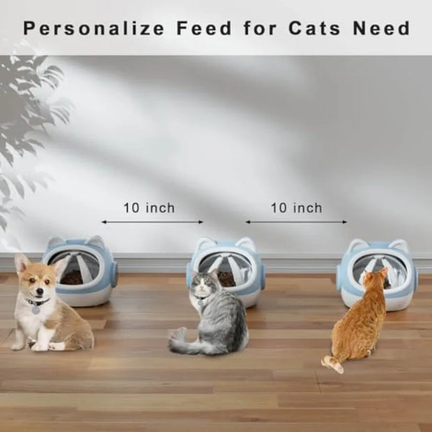 Three RFID Automatic Pet Feeder 700ml with three cat on a wooden floor, labeled for size and featuring a dog and two cats.