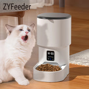 Cat next to a white ZYFeeder Smart Automatic Pet Feeder on a wooden floor.
