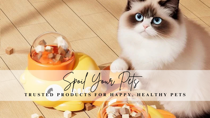 Cat sitting on a wooden floor with a food dispenser in front of it, accompanied by text 'Spoil Your Pets'.