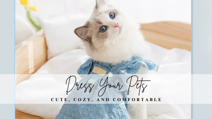 Cat wearing a denim outfit and standing beside bad 