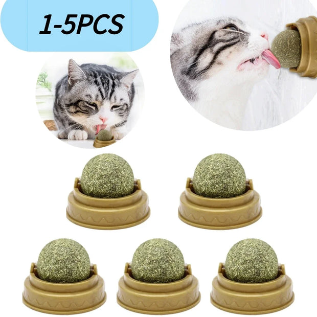 Set of five green Catnip Ball Toy in beige holders with a cat interacting with one of them.