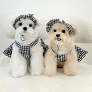 Two small dogs wearing Checkered Pet Dress with Matching Bib and hats on a white background