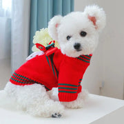 Small white dog wearing a red Christmas Dog Sweater with green stripes on a light-colored surface.