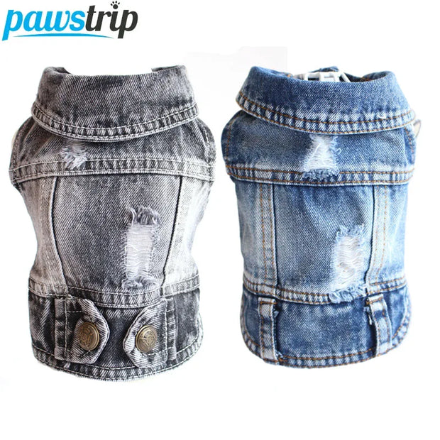 Two Cool Dog Jeans Jacket with 'pawstrip' branding on a white background