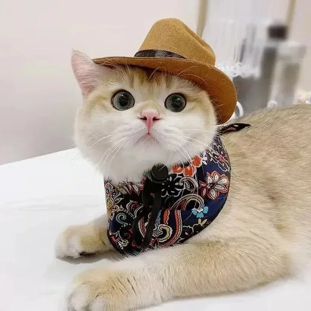 Cat wearing a brow Cowboy Hat Accessory on a white surface