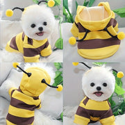 Small white dog wearing a themed_Cute Bee Costume with yellow and brown colors.