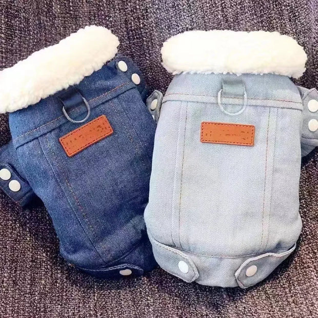 Two Denim Dog Jacket with white fur lining on a textured surface.