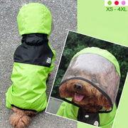 Dog wearing a green Dog Raincoat with Clear Hood, standing on a pavement.
