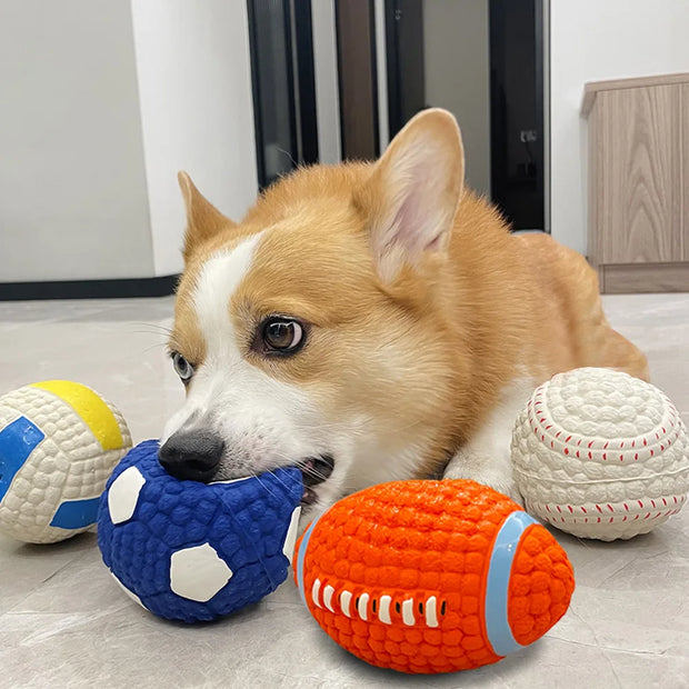 Corgi dog playing with colorful chew Durable Dog Sports Balls on a floor.