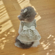 Small dog wearing a Elegant Lace Pet Dress with Bow on a wooden floor