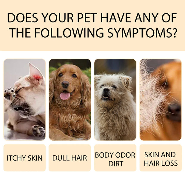 Gentle Pet Shampoo Cleansing Deodorizing and Anti-Itch Images of pets with symptoms and text asking if they have itchy skin, dull hair, body odor, or skin and hair loss.