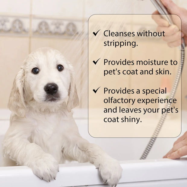 White dog in a bathtub with a person using a showerhead, text overlay about Gentle Pet Shampoo Cleansing Deodorizing and Anti-Itch care product benefits.