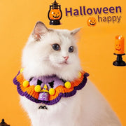 White cat wearing a Halloween Knitted Collar with pumpkins and ghosts on an orange background.