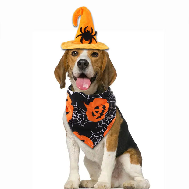 Dog wearing a Halloween Pet Hat And Drool Towel Set and bandana on a white background