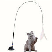 Cat playing with a rod Interactive Cat Toy Wand with Feather on a white background