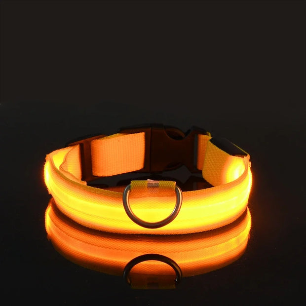 Glowing orange Luminous Pet Collar on a black background
