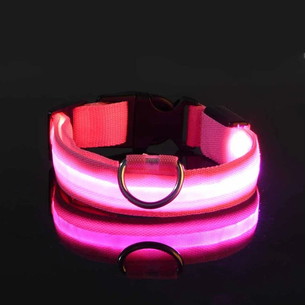 Pink LED Luminous Pet Collar on a black background