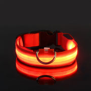 Red Luminous Pet Collar on a black background
