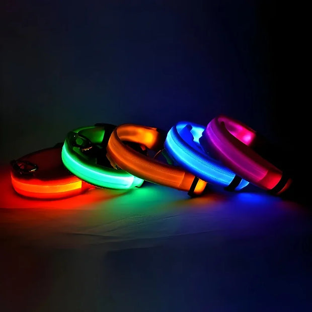 Four colorful LED Luminous Pet Collar on a dark background