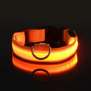 Orange LED Luminous Pet Collar on a black background