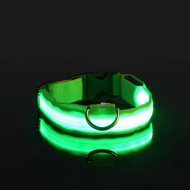 Green LED Luminous Pet Collar on a black background