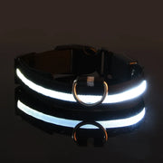 Reflective Luminous Pet Collar on a black background
