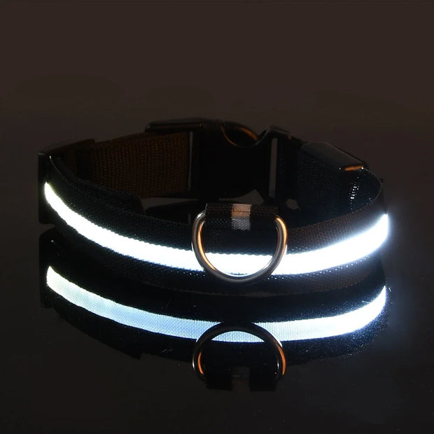 Reflective Luminous Pet Collar on a black background