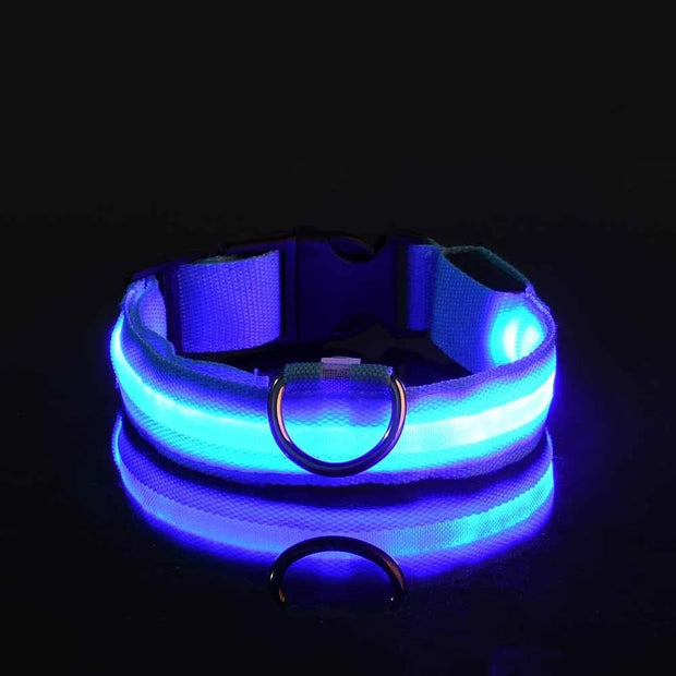 Blue LED Luminous Pet Collar on a black background