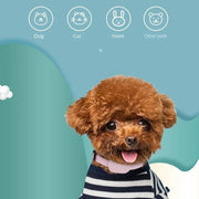 Small dog wearing Pet GPS Tracker with Adjustable Collar Smart Locator a striped shirt with pet classification icons above on a blue background