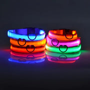 Set of colorful LED Luminous Pet Collar on a dark background