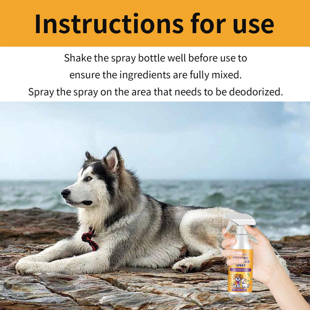 Dog lying on a beach with a Yegibong Pet Fabric Deodorizer Spray 120ml and instructions for use displayed.