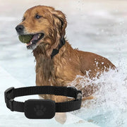 Pet GPS Tracker with Adjustable Collar Smart Locator Dog playing in water with a black dog and tennis ball