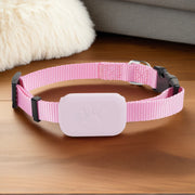 Pet GPS Tracker with Adjustable Collar Smart Locator Pink color for dog with a gray electronic device on a wooden surface