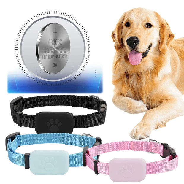 Pet GPS Tracker with Adjustable Collar Smart Locator Dog  with battery pack and a dog lying down on a white background