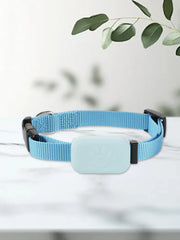 Blue Pet GPS Tracker with Adjustable Collar Smart Locator black buckle on a white surface with green leaves in the background