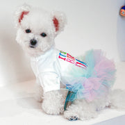 Small white dog wearing a colorful Birthday Tutu Dress and a shirt with text on a plain background
