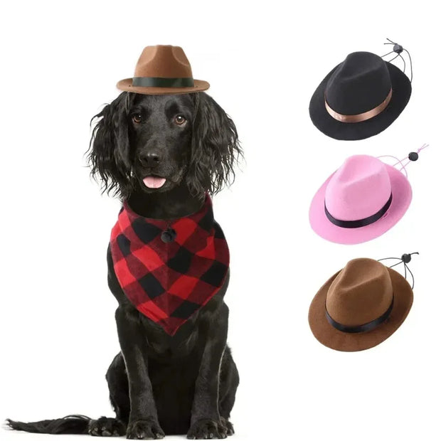 Dog wearing a red plaid bandana with four Cowboy Hat Accessory displayed above on a white background