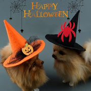 Two dogs wearing Halloween Witch Hat Collection with 'Happy Halloween' text and spider webs in the background.