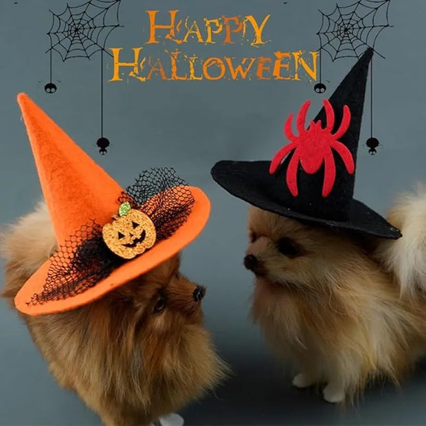 Two dogs wearing Halloween Witch Hat Collection with 'Happy Halloween' text and spider webs in the background.