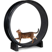 Cat using a black Cat Exercise Wheel on a white background