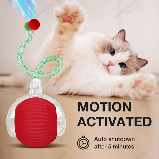 Cat playing with a Electric Rolling Cat Toy Ball, with text indicating auto shutdown after 5 minutes.