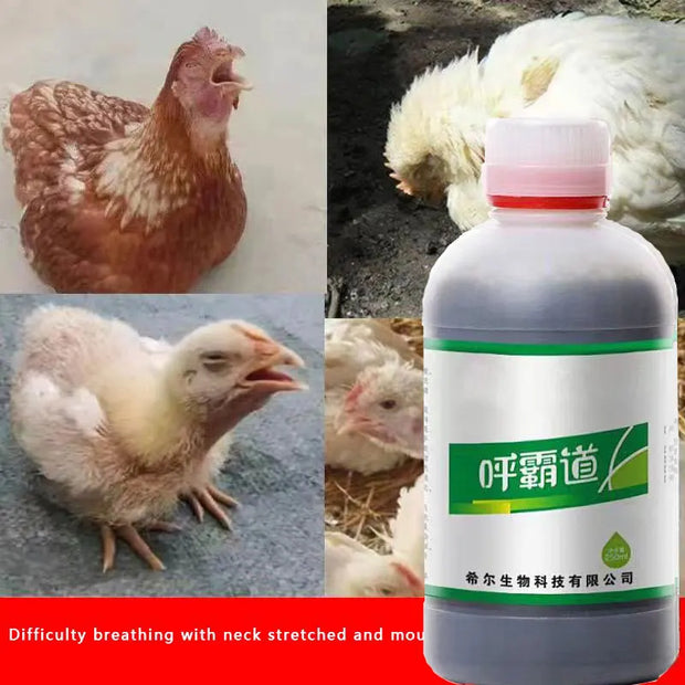 Huspeedba Poultry Respiratory Health Solution 250ml with chickens showing respiratory distress symptoms.