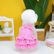 White dog wearing a pink Ruffle Layered Dress with a yellow wall and plant in the background